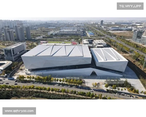 宁波体艺中心力争永久保留青少年垒球地标推动体育文化发展新篇章 宁波体艺中心力争永久保留青少年垒球地标推动体育文化发展新篇章